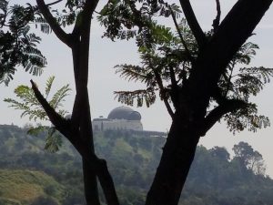 building on hill seen through trees